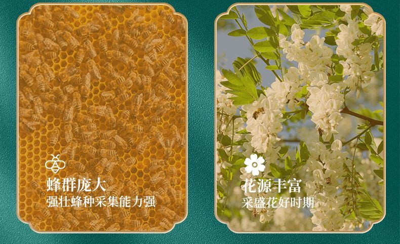 微信图片_20250920104252.jpg