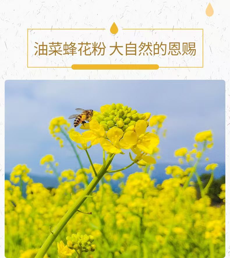 微信图片_20250920120844.jpg